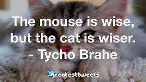 Amazed, and as if astonished and stupified, i stood. Tycho Brahe Quotes Greatesttweets Com