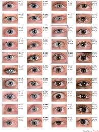 Structural Eye Color Google Search In 2019 Eye Color