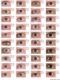 structural eye color google search in 2019 eye color