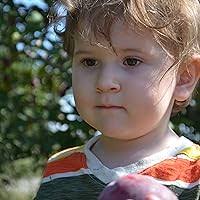 David Crockett: His Life and Adventures by John S.C. Abbott