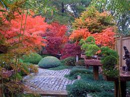 Pin By Lorraine Yausie On Bonsai Trees Maple Tree Landscape Japanese Garden Design Japanese Garden