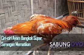 We did not find results for: Alva Achow0123 Profile Pinterest