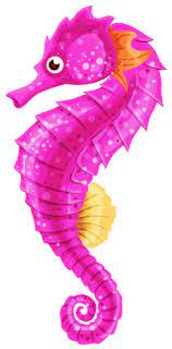 Seahorse Png Clip Art Seahorse Art Seahorse Sea Life Art