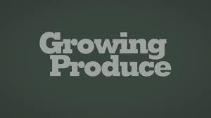 Disini kualitas video dan teksnya pas dan bagus loh. Archon Parasite Removal