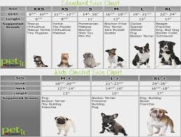 Boxer Dog Size Chart Cypru Hamsaa Ivanpik Net