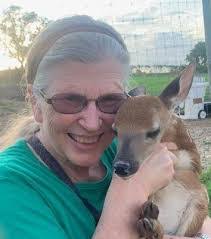 Linda Bauman's Instagram, Twitter & Facebook