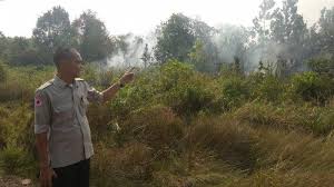 Keesokan paginya, saat irvan pergi ke sekolah, aku membongkar lemari yang sudah lama tak kurapikan. Breaking News Kebakaran Lahan Sudah Mendekati Smpn 3 Dan Rumah Sakit Di Kayong Utara Tribun Pontianak