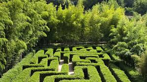 Plongee Dans Le Plus Grand Labyrinthe Vegetal Du Monde Haie Bambou Les Plus Beaux Jardins Bambouseraie