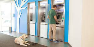 Mehr infos mehr infos (0) meine volksbank raiffeisenbank eg, haiming. Geldautomaten In Der Nahe Volksbank Raiffeisenbank