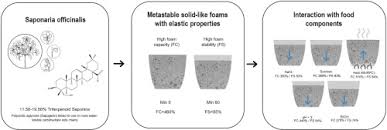 Maybe you would like to learn more about one of these? Characterization Of Saponin Foam From Saponaria Officinalis For Food Applications Sciencedirect
