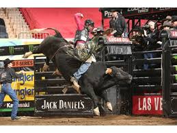 Pbr - J.B. Mauney Is Matched Up Again With Bushwacker. The Retiring Bull  Thwarts His Rider'S Attempts And Puts Up A Bull Score Of 46.75 Points.  Photo By Andy Watson. | Facebook