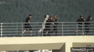 Fans fought pitched battles in the streets as riot police attempted to contain the violence, which came ahead of the greek cup final this evening. Paok Aek Greek Finest On Make A Gif