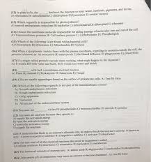 However, these two functions are performed in separate areas of the er: 12 In Plant Cells The A Ribosomes B Mitochondria Chegg Com