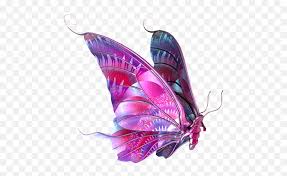 Maybe you would like to learn more about one of these? Beautiful Butterfly Png 2 Image Silver And Black Butterflies Backgrounds Purple Butterfly Png Free Transparent Png Images Pngaaa Com