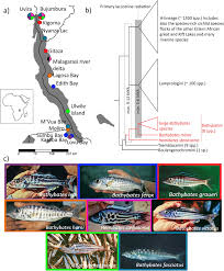 Host species information. (a) Geographical positions of sampling...
