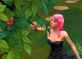 Starting with level 1 gardening, a sim can plant flowers, herbs, fruits, and vegetables on their property, either outdoors on bare earth, or in flower pots. The Sims 4 Gardening Collection Guide Sims Online