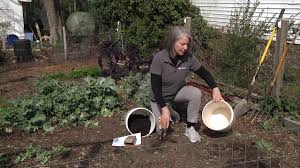 In this video i have also. Homegrown How To Test Your Garden Soil Youtube