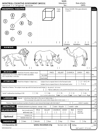 Results of the leipzig longitudinal study. Moca Scoring Nuances With Clock Draw Well She Gave It A Shot Funny