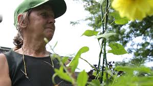 FIRST OF TWO-PART SERIES: Roadside farm stands a labor of love for area  gardeners