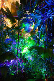 This is a very pretty building full of amazing fllowers and plants. Sf Night Bloom New Interactive And Immersive Light And By Brian Resler No Proscenium