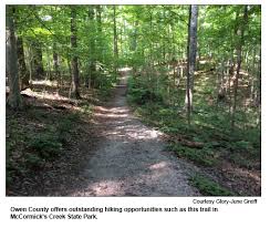 Image result for Weslyn Green 1933 Studebaker