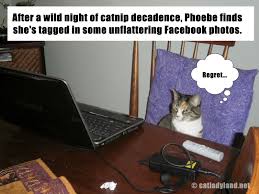 Flower, leftover fish, rat, canned food, huge fish, glass shard. Fun Cats Tips Home Facebook Induced Info