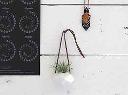 This cork bark log looks great as a vertical planter on a wall, or you can display it on any table. 5 Unique Ways To Display Air Plants