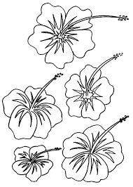 Why don't you color them nicely and make them more Free Printable Hibiscus Coloring Pages For Kids
