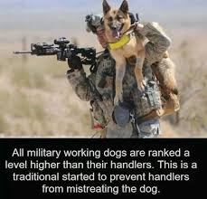 Marc Marsing (jmseahawks25)