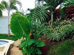 Mein Eigener Tropischer Garten Fur Villen Zum Verkauf Mit Tropischen Garten In Funchal Eige Tropical Garden Tropical Landscaping Landscaping Around Pool
