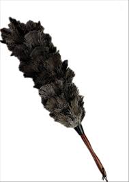 Birds Of The Same Feather Make A Good Feather Duster Aayu Ostrich Feather Duster Long Duster 75 Cm Flexible Wooden Handle Easy And Perfect Dust Clean For Home Sofa Couch Car And Furniture In 2020 Cleaning Dust Feather Duster Furniture Scratches