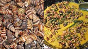 Menurutnya, sebelum ini jika dia membeli siput sedut, pasti akan dimasak terus pada hari yang sama. Cara Senang Bersihkan Lumpur Dekat Siput Sedut Sinaran Wanita