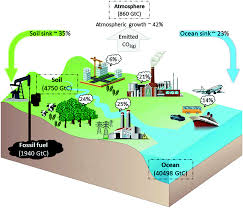 Air kapur sering digunakan di dapur sebagai salah satu bahan untuk melembutkan sotong kering selain air abu. Electrochemical Carbon Dioxide Capture To Close The Carbon Cycle Energy Environmental Science Rsc Publishing Doi 10 1039 D0ee03382k