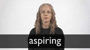 Meaning and definitions of aspiring, translation of aspiring in hindi language with similar and opposite words. Aspiring Definition And Meaning Collins English Dictionary