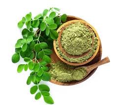 Image result for Moringa