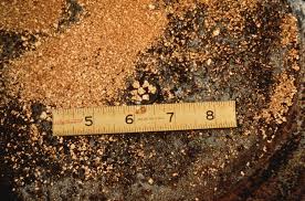 Most discoveries are of placer and flour gold. Gemhunter S Guide How To Operate A Gold Pan Panning For Gold Diamonds Rubies And Sapphires