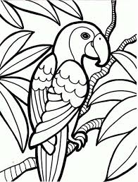 The largest animal in the rainforest is the african forest elephant. Rainforest White Faced Monkey Coloring Paper Prints Google Search Bird Coloring Pages Animal Coloring Pages Dragon Coloring Page