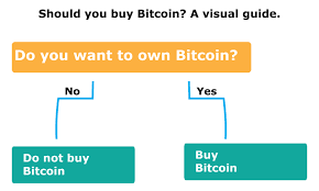 The way purse is supposed to work is. Should You Buy Bitcoin A Visual Guide Bitcoin