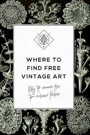 7 free vintage borders, frames & ornaments from starsunflower studio. Free Vintage Art Where To Find It Exclusive Freebies Little Gold Pixel