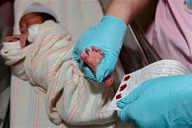 Image result for Infant Blood Sample