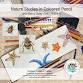Nature Studies in Coloured Pencil  — Redland Coast event image