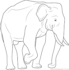 We did not find results for: Indian Elephant Coloring Page For Kids Free Elephant Printable Coloring Pages Online For Kids Coloringpages101 Com Coloring Pages For Kids
