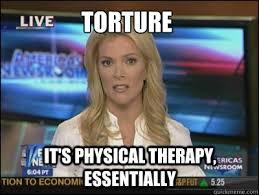 Lifestyle behaviours are also passed from one generation to the next, this doesnt make them hereditary. Therapeutic Torture Megyn Kelly Essentially Know Your Meme