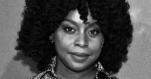 Chimamanda ngozi adichie grew up in nigeria. Ocrkmccsrof6km