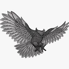 Owl Royalty Free 3d Model Preview No 8 3d Model Owl Model