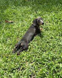 Aprovechando los ratitos de sol