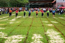 Sjk (c) nan hwa, bukit kangkar, muar. Gallery Sjk C Chiao Nan