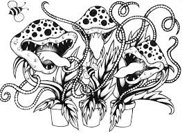 Hi there people , our latest update coloringsheet which you couldhave some fun with is eagle begin to fly coloring page, listed under eaglecategory. Top Galery Venus Flytrap Coloring Pages