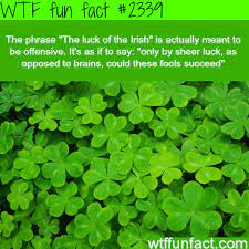 Some feel it refers to the bad luck of the people of ireland. The Luck Of The Irish Meaning Wtf Fun Facts Fun Facts Wtf Fun Facts Funny Facts