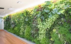 Greenery Imports Artificial Plants We Are Australia S Largest Importer Of Quality Artificial Plan Vertical Garden Artificial Plants Decor Vertical Garden Wall